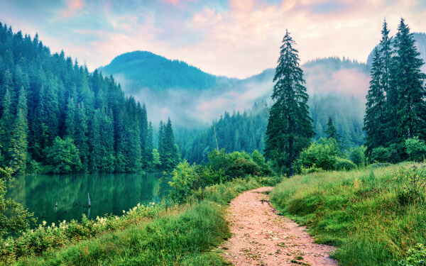 キャンペーンの価値を整理し、伝えるポイントを明確化のイメージ